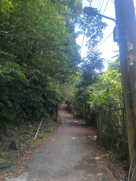 2026.05.31－二格山步道3071444