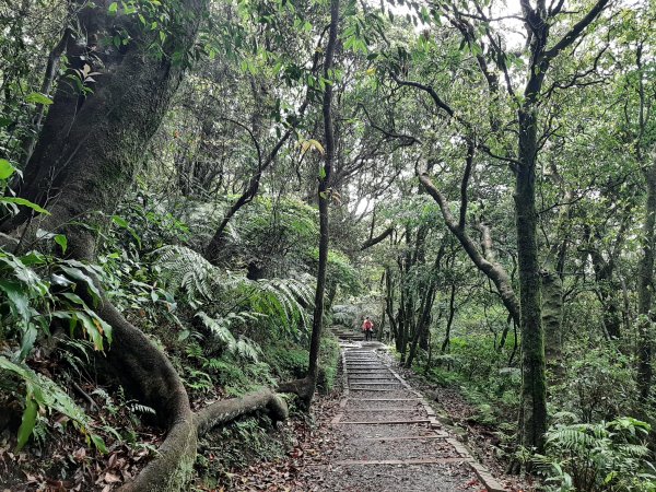 110 年春 登七星山1345735