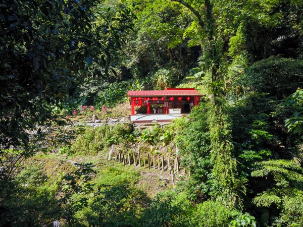2025-06-15 銀河洞越嶺登山步道2816163