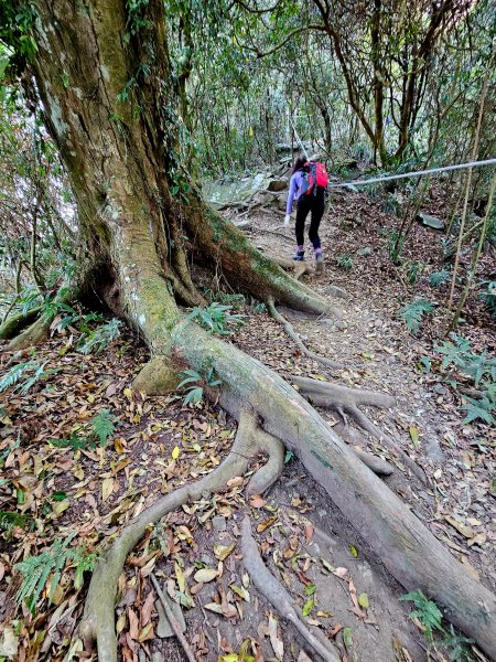 小百岳集起來-三腳南山2184544