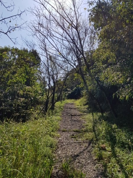 2019.10.02石碇-二格山692801