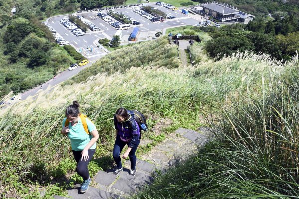 陽明山縱走東段（大崎頭至苗圃）515136