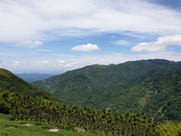 塘湖古道－金獅山－出水坑－交力坪山1732573