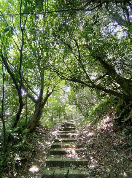 中正山步道-竹子湖來回1361656