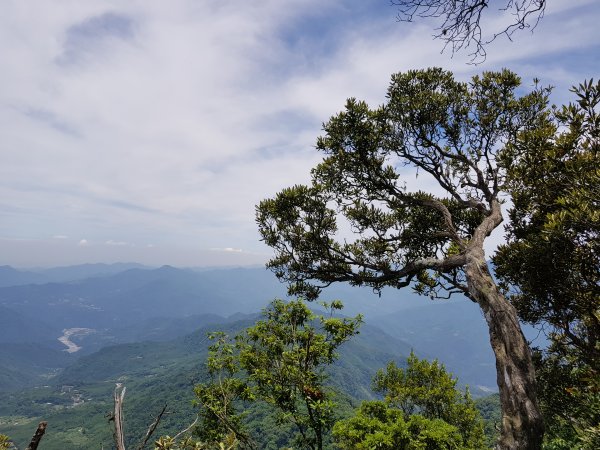 復興三尖之那結山1423084