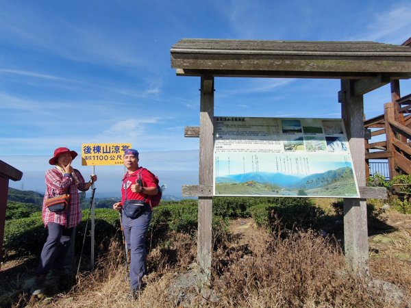 【雲嘉茶園之美】後棟山連走大二尖山1532203