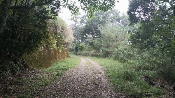 20251010 大雪山國家森林遊樂區 - 船型山林道 登 烏石坑山2911145