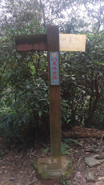 林口頂福巖森林步道569291