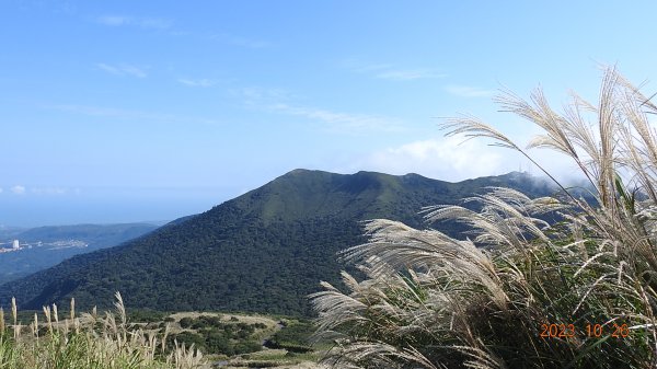 大屯山夜景/晨曦/日出/雲瀑/芒花&小觀音山西峰雲瀑10/26 & 11/12326935