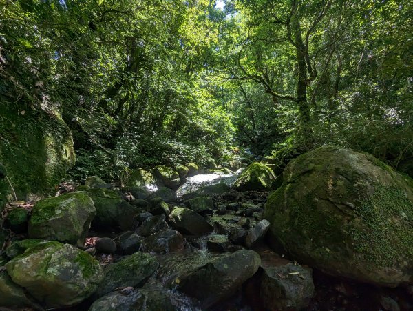 逐鹿山水路上卡保山(未經逐鹿山)2171970