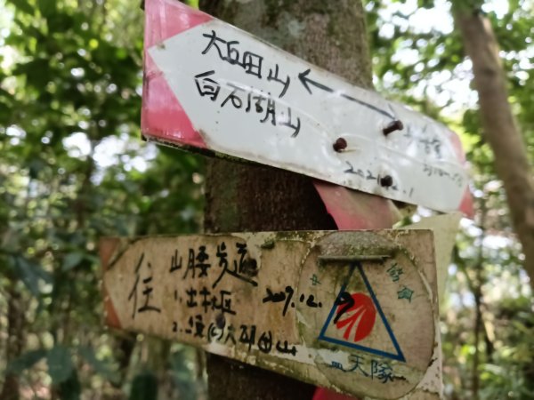 內湖區大丘田保甲路+開眼山+白石湖山+白石湖山東峰+大邱田山+消防山O型2858950