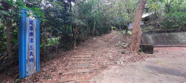 《苗栗》霧雨寒流｜三義三角山步道202512252969194