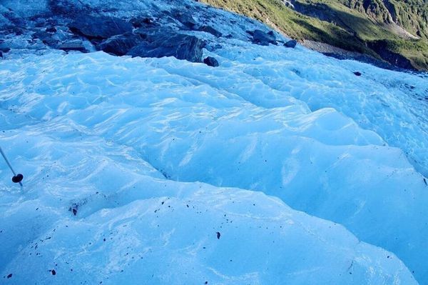 紐西蘭冰河歷險-法蘭克福冰河健行183350