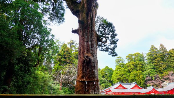 鹿兒島霧島神宮,神水峽3028258