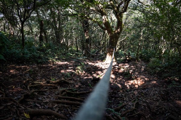 大屯山連峰步道｜陽明山小百岳2856271