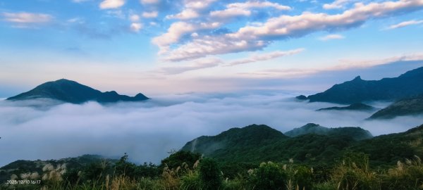 #樹梅坪 #金瓜石 12/102958910