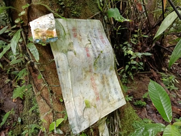 平溪區善覺寺古道(步道)去回2855362