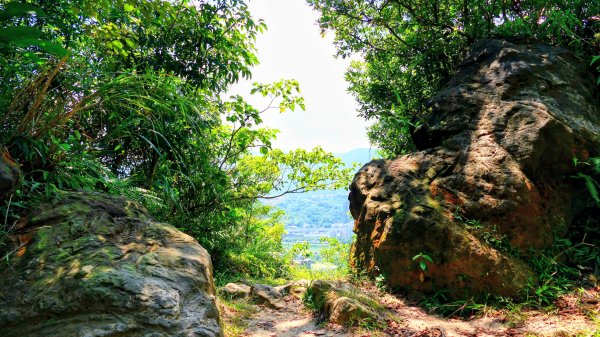 五堵獅頭山3096321