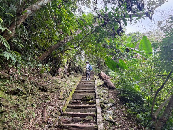 鯉魚山步道群2728329