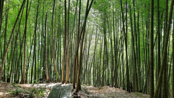 《雲林》望好望角｜石壁山嘉南雲峰步道(中側登山口）202506072805442