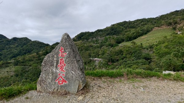 太麻里山2949820