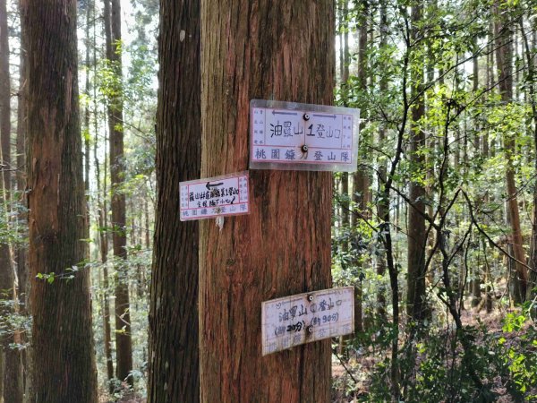 油羅山202503092731871