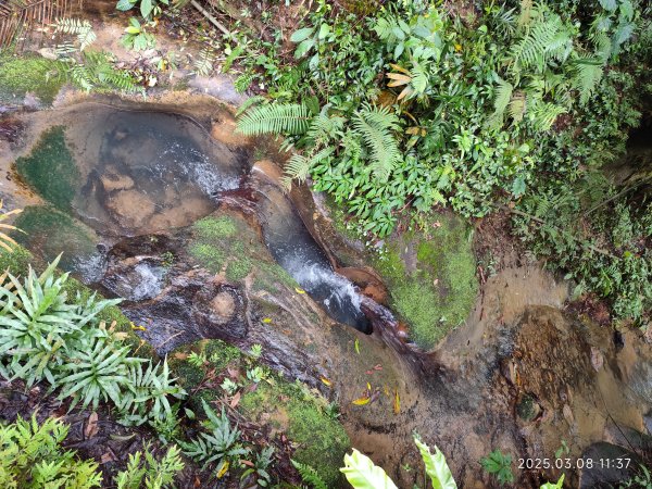 【臺北大縱走6】中華科大步道→九五峰→南港山→糶米古道→軍功山→中埔山→福州山公園→富陽自然生態公園2730075