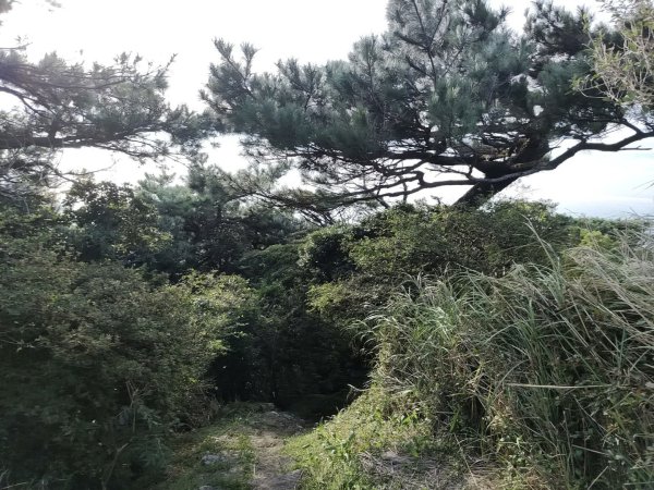 1131005向天山3097988