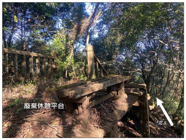 逐鹿古道、雨社山(南投、魚池)2667430