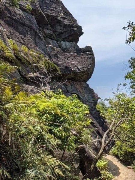 軍艦岩 - 另一條體驗路徑，基點多、地貌多樣、攀岩拉繩、樹根盤結，很觸味的新鮮感1384375