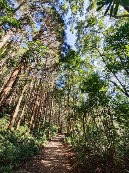 大雪山長壽三崠2691099