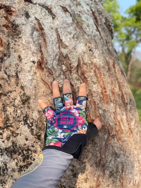 尼泊爾奇旺國家公園4天三夜2788966