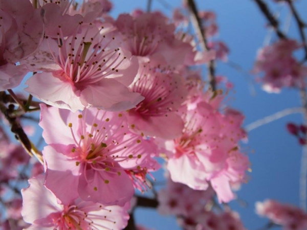 【部落生態之旅】春陽部落二日遊