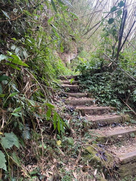 1120329奮瑞古道2643534