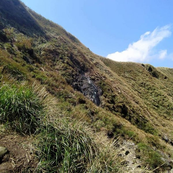 臺北大縱走第三段-小油坑到冷水坑1302056