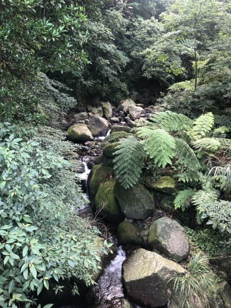 走遍陽明山-魚路古道2171253