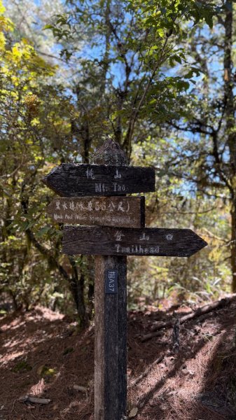 一日單攻桃山2903272