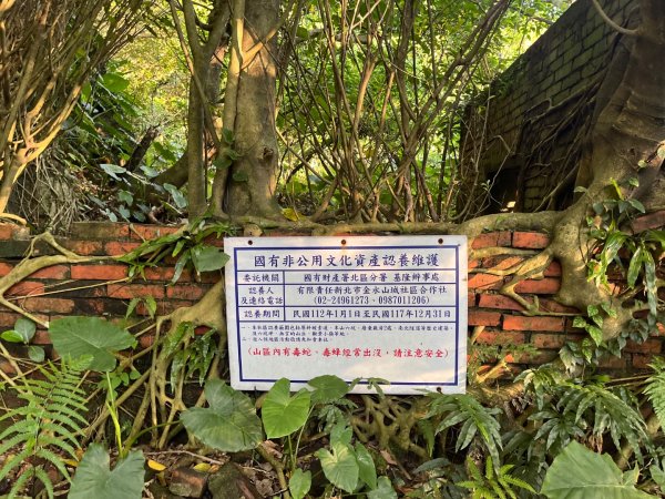 新北 瑞芳 無言的山丘2788449