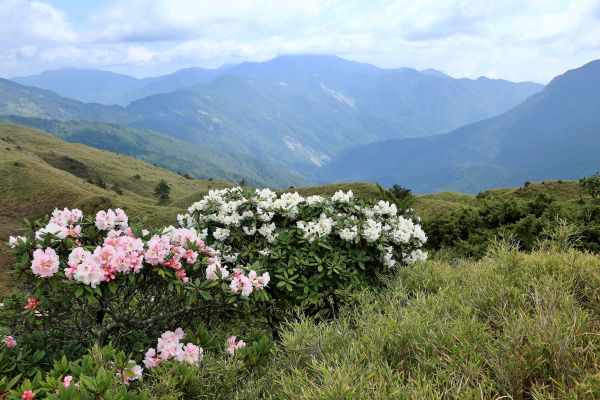 奇萊連峰(南峰-北峰)掃描115476