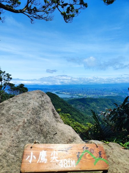 觀音山小鷹尖2818052