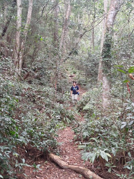 【新竹縣尖石鄉】秀巒軍艦岩步道2833662