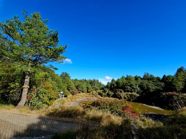 小雪山天池步道2962668