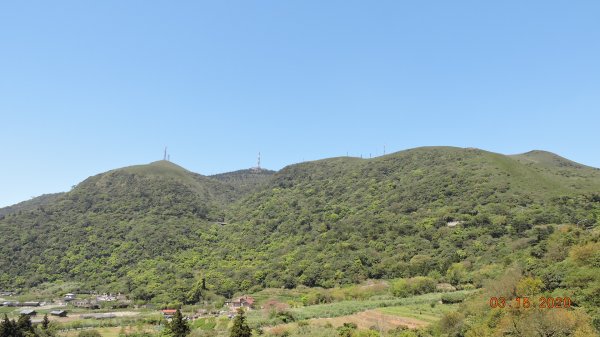 晴朗涼爽舒適/車道像停車場/步道人龍879691