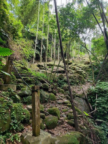 微笑山線之望月亭段2849011