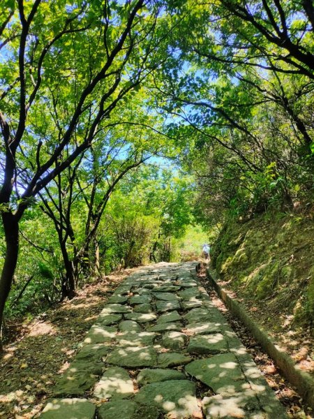 2023/7/19 小百岳：［基隆山］+九份老街2226847