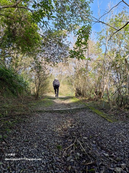 【新北】二格山步道：半小時登頂坐擁大台北2805181