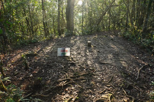桃園-三峽 志繼山、東眼山、拉卡山、卡外山3005178