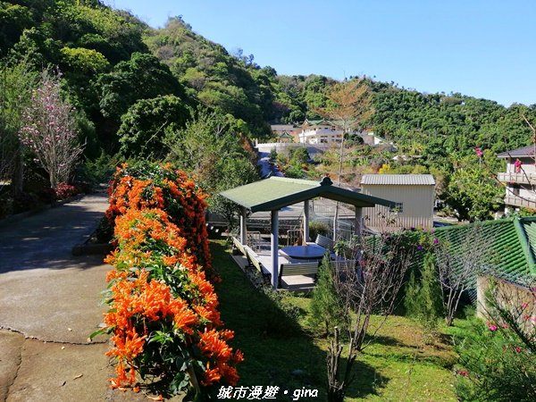 台中~原始悠靜山林~太平淨德寺後山步道1300292