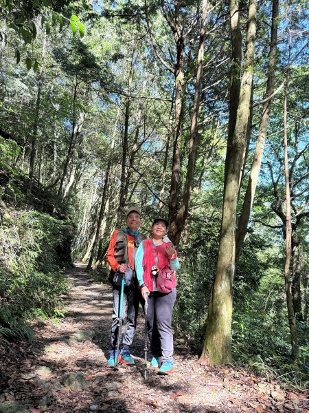 橫嶺山走走避暑趣 2025.6.112815434