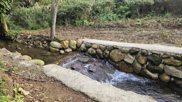 20260211庚子坪溫泉-赤石六山2997583